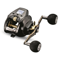 Daiwa Seaborg G Dendoh 300