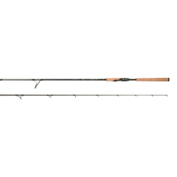Daiwa TD Sol B Inshore Spinning Rod