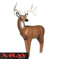 BIGshot Big Buck X-Ray Series Target