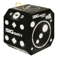 BIGshot Titan 10XS Crossbow Target
