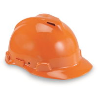 Swiss Military Surplus Peltor Hard Hat Like New