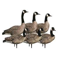 Avian-X Honker Sentry-Walker Goose Decoy Pack