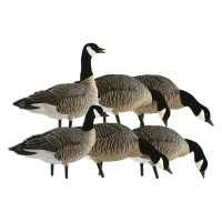 Avian-X Lesser Fusion Goose Decoy Pack