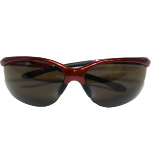 Redhawk Anti-Fog Safety Glasses