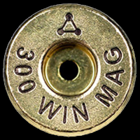 ADG 300 Winchester Magnum Brass