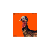 Orange Peel 'Turkey' Target