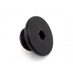 Shimano Bleed Port Screw & O-Ring (105) - Y0F398030