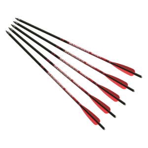 Barnett Headhunter 20" Crossbow Bolts 303 Grain 5 Pack