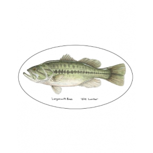 Pescador On The Fly Largemouth Decal - Largemouth - One Size