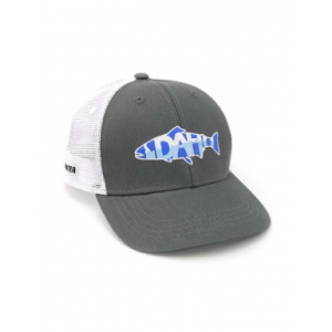 RepYourWater - Idaho Mountains Mesh Back Hat