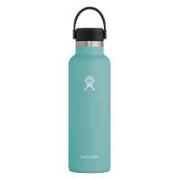 Hydro Flask Standard Mouth Insulated Water Bottle with Flex Cap - 21 oz - Alpine - 21oz