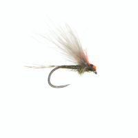 Umpqua Antonios's Adult - BWO - 17