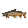 Casey Underwood Art Fly Fishing Bull Trout Sticker Decal