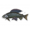Casey Underwood Art Fly Fishing Grayling Sticker Decal