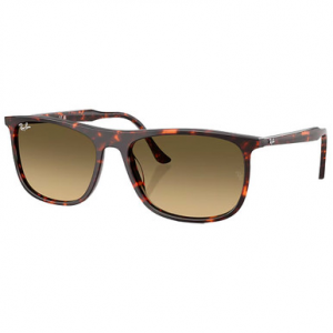 Ray-Ban Havana Red Turtle Brown Vintage Gradient Black 0RB2216-14290A58
