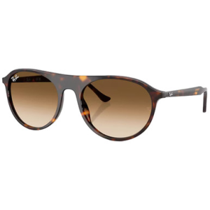 Ray-Ban Havana Clear Gradient Brown 0RB2215-9025156