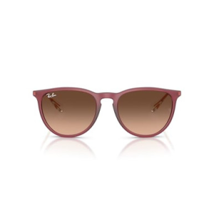 Ray-Ban Erika Rubber Violet Pink Gradient Brown 0RB4171-6815A554