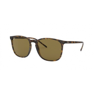 Ray-Ban Light Havana Dark Brown 0RB4387-7107356
