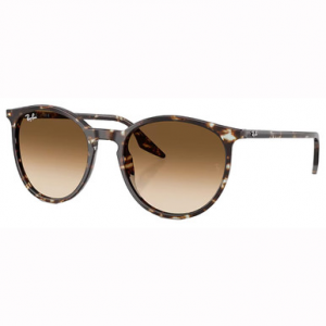 Ray-Ban Havana Yellow Turtle Clear Gradient Brown 0RB2204-14315154