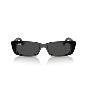 Ray-Ban Teru Black Dark Grey 0RB4425-66778754
