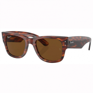 Ray-Ban Mega Wayfarer Glasses Striped Havana Brown Polar 0RB0840SF-9545752