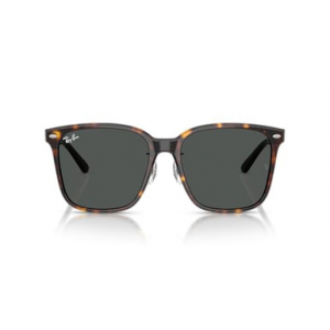 Ray-Ban Havana Dark Grey 0RB2206D-7108757