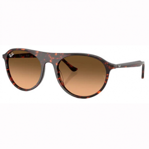 Ray-Ban Havana Red Turtle Pink Gradient Black 0RB2215-14293B59