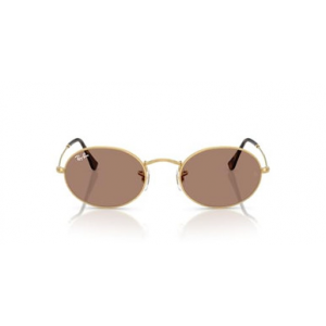 Ray-Ban Oval Arista Light Violet 0RB3547-0011A51