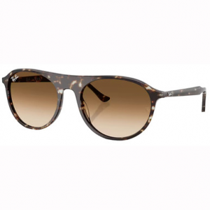 Ray-Ban Havana Yellow Turtle Clear Gradient Brown 0RB2215-14315159