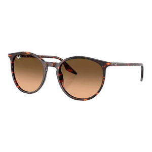 Ray-Ban Havana Red Turtle Pink Gradient Black 0RB2204-14293B51
