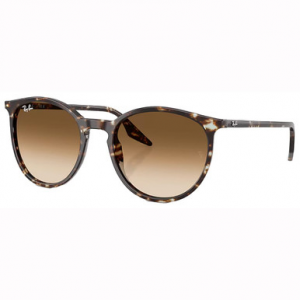 Ray-Ban Havana Yellow Turtle Clear Gradient Brown 0RB2204-14315151