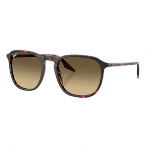 Ray-Ban Havana Red Turtle Brown Vintage Gradient Black 0RB2203-14290A55
