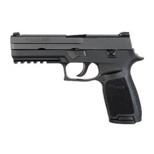 Sig Sauer P250 Full Size 9mm Pistol 250F-9-B, 9