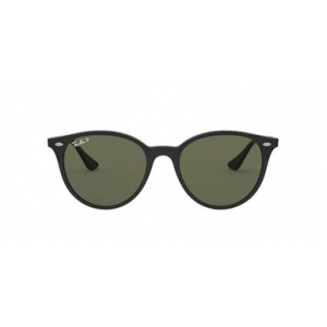 Ray-Ban Black Green Polar ORB601/9A53