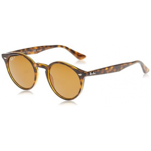 Ray-Ban Light Havana Brown Polar