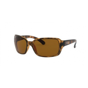 Ray-Ban Havana B-15 Brown Polar