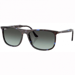 Ray-Ban Havana Blue Turtle Blu Vintage Gradient Black 0RB2216-1430GK58