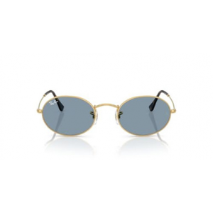 Ray-Ban : Other Sunglasses : ORB001/5651