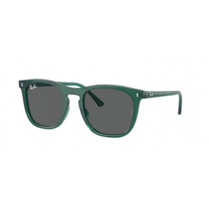 Ray-Ban Transparent Green Dark Grey