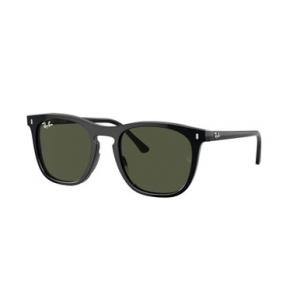 Ray-Ban Black Green 0RB2210-9013153
