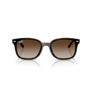 Ray-Ban Havana Gradient Brown 0RB4461D-7101364