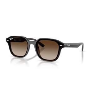 Ray-Ban Transparent Dark Brown Gradient Brown ORB714/1365
