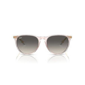 Ray-Ban Erika Transparent Pink Grey Gradient ORB67421154