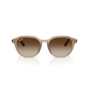 Ray-Ban Turtledove Gradient Brown 0RB4459D-61661354