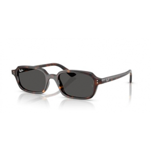 Ray-Ban Havana Dark Grey ORB13598749