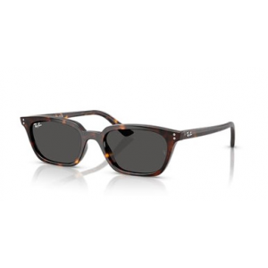 Ray-Ban Havana Dark Grey ORB13598753