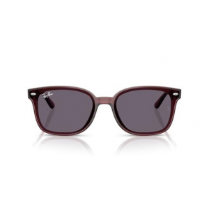 Ray-Ban Transparent Dark Brown Violet ORB65937364