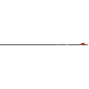 Easton 5mm FMJ 250 Arrow w/2'' Blazer Vanes & 25gr Aluminum Half-Outs 6pk 101235
