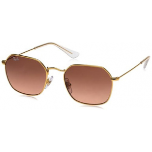 Ray-Ban Arista Pink Gradient Grey 0RJ9594S-2234649