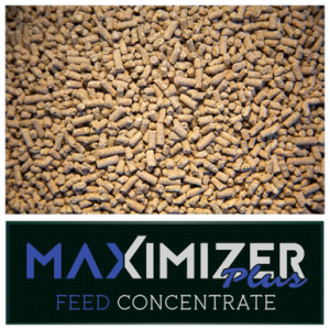 Real World Wildlife Products Maximizer Plus Feed Concentrate 50lb Bag MAXIMIZER-PLUS-FEED-CONCENTRATE-50LB